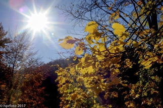 Sonne pur. Den Herbst erleben uns Sonne tanken.....bei diesem Wetter kein Rroblem. Aufgenommen in Bad Faulenbach/Füssen.